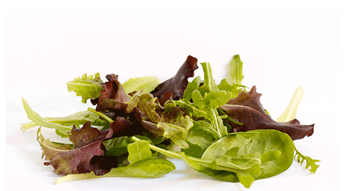 SummerSaladsHeader-1