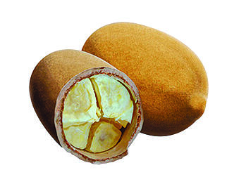 MedicalSupplies_Cupuaçu