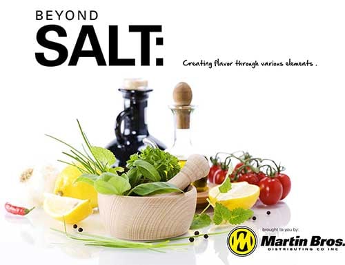 Beyond-Salt-Ebook