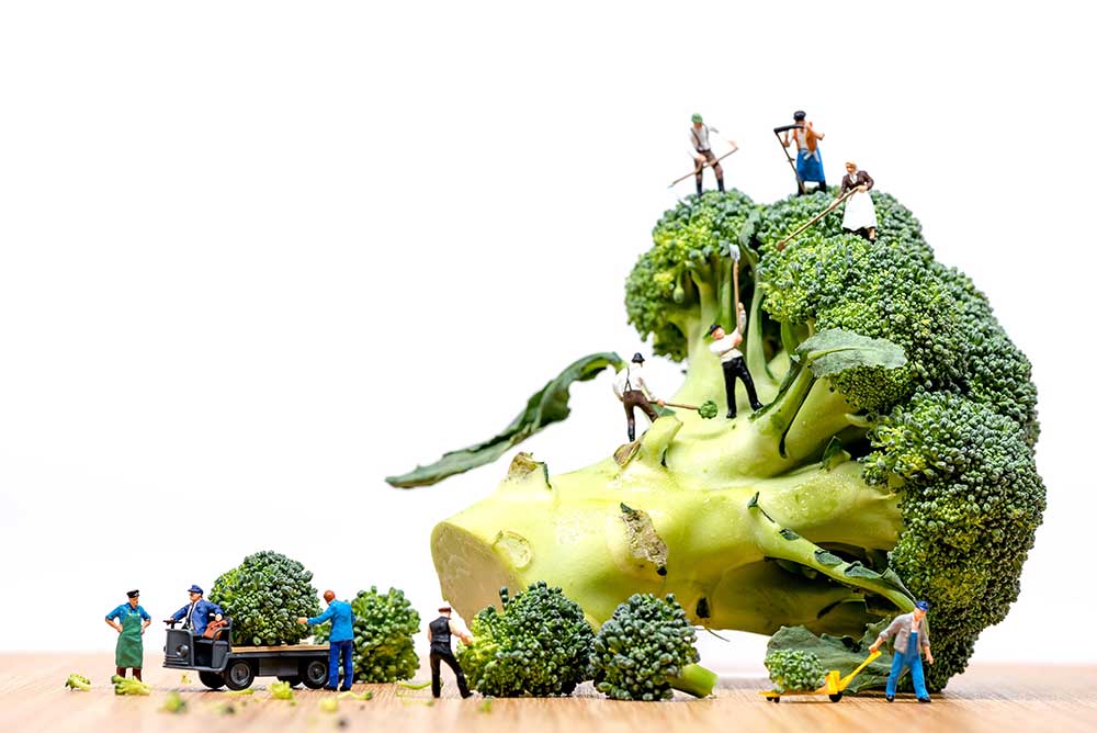 broccoli and food safety