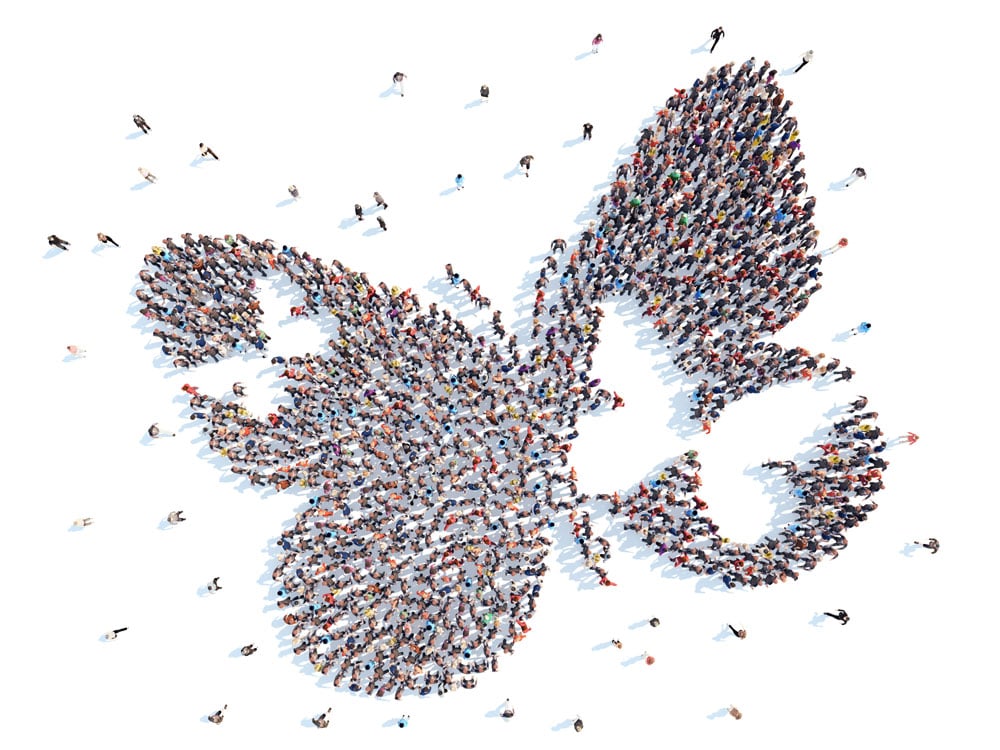 senior-social-butterflies